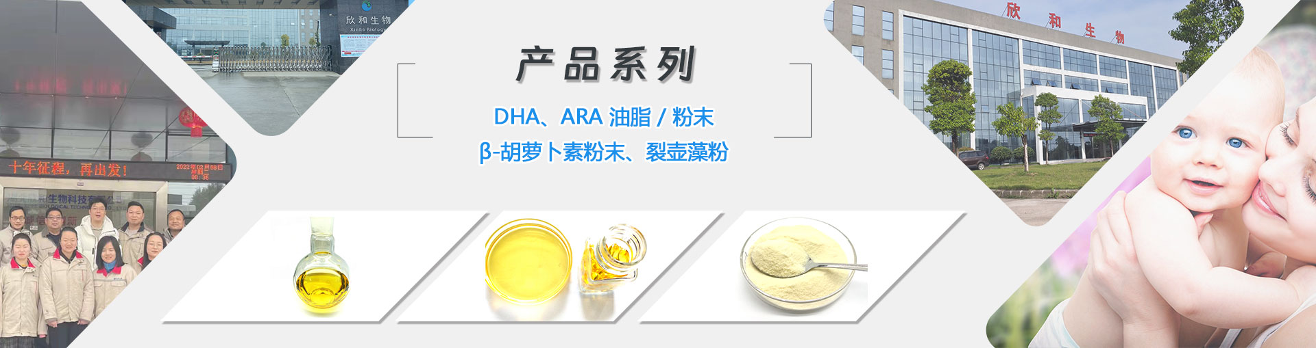 DHA、ARA油脂粉末生产厂家